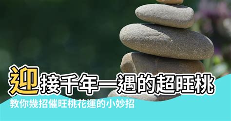 桃花位2023|2023解鎖桃花運！迎接千年一遇的超旺桃花年，教你從居家風水。